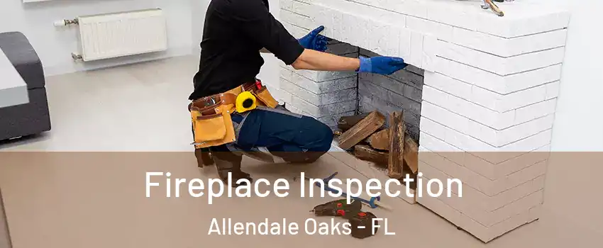 Fireplace Inspection Allendale Oaks - FL