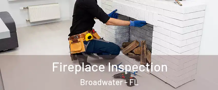 Fireplace Inspection Broadwater - FL