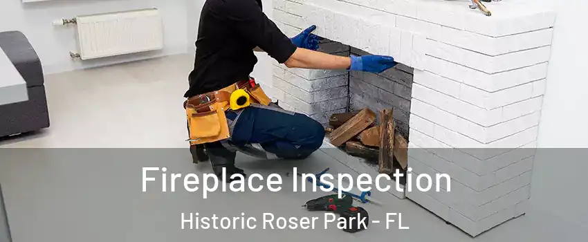 Fireplace Inspection Historic Roser Park - FL