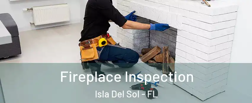 Fireplace Inspection Isla Del Sol - FL