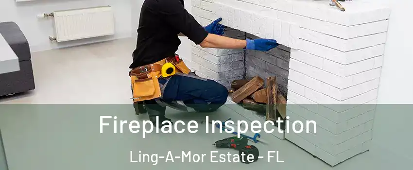 Fireplace Inspection Ling-A-Mor Estate - FL