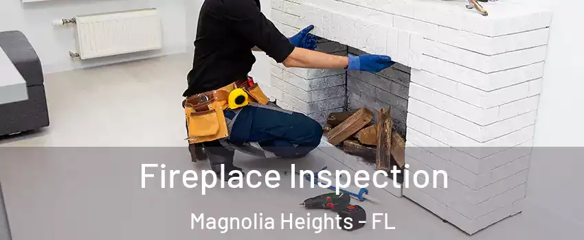 Fireplace Inspection Magnolia Heights - FL