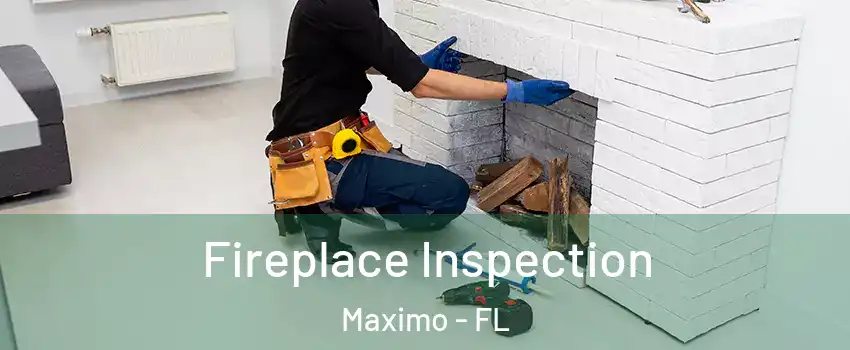 Fireplace Inspection Maximo - FL