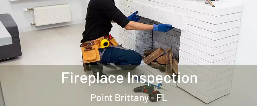 Fireplace Inspection Point Brittany - FL