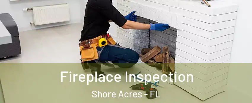 Fireplace Inspection Shore Acres - FL