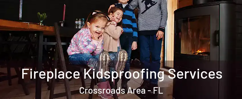 Fireplace Kidsproofing Services Crossroads Area - FL
