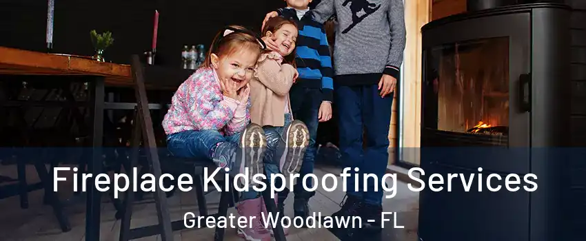 Fireplace Kidsproofing Services Greater Woodlawn - FL