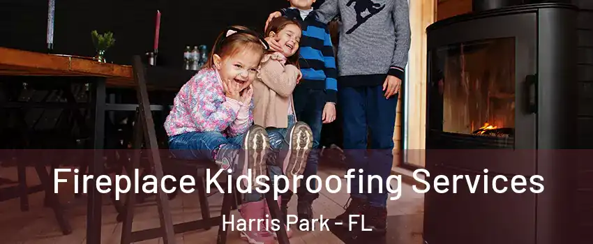 Fireplace Kidsproofing Services Harris Park - FL