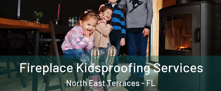 Fireplace Kidsproofing Services North East Terraces - FL