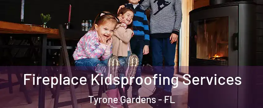 Fireplace Kidsproofing Services Tyrone Gardens - FL