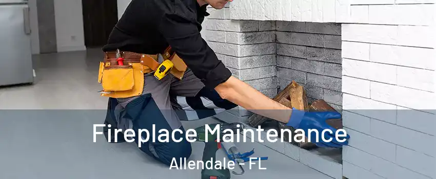 Fireplace Maintenance Allendale - FL