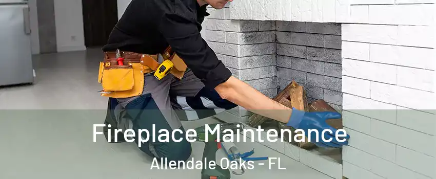 Fireplace Maintenance Allendale Oaks - FL