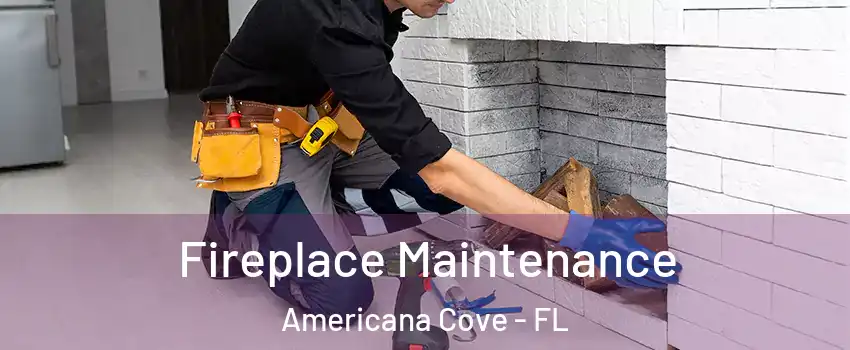 Fireplace Maintenance Americana Cove - FL