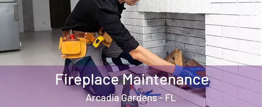 Fireplace Maintenance Arcadia Gardens - FL
