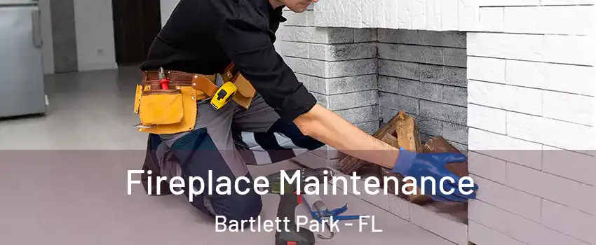 Fireplace Maintenance Bartlett Park - FL