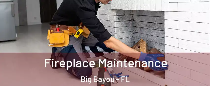 Fireplace Maintenance Big Bayou - FL