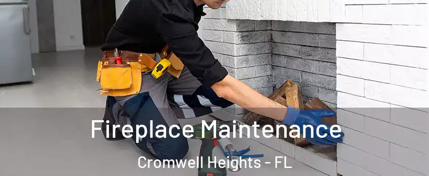 Fireplace Maintenance Cromwell Heights - FL