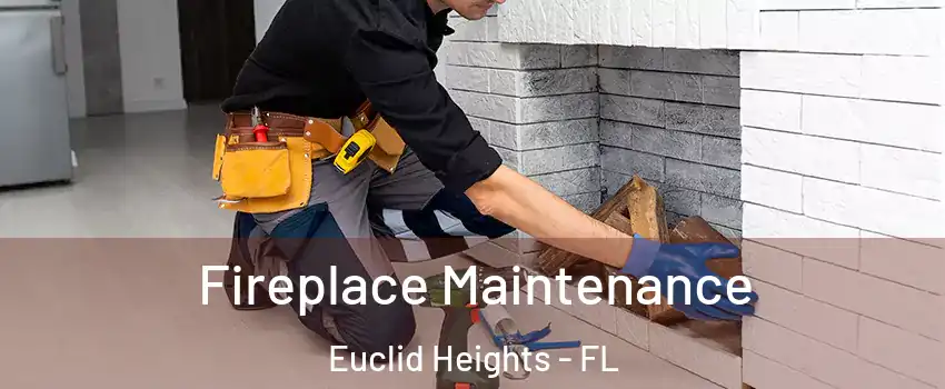 Fireplace Maintenance Euclid Heights - FL
