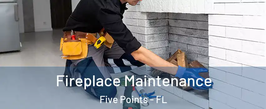 Fireplace Maintenance Five Points - FL