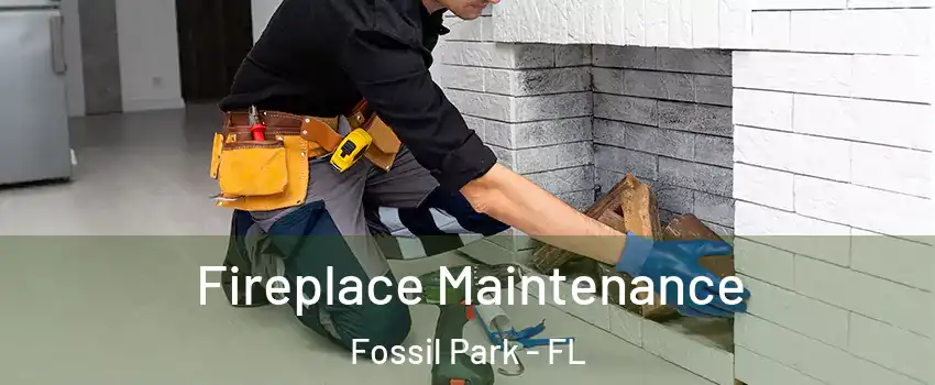 Fireplace Maintenance Fossil Park - FL
