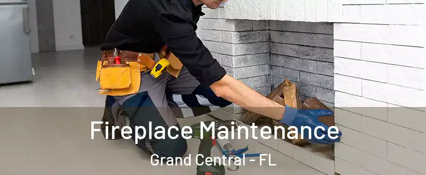 Fireplace Maintenance Grand Central - FL