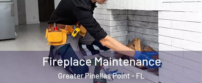Fireplace Maintenance Greater Pinellas Point - FL