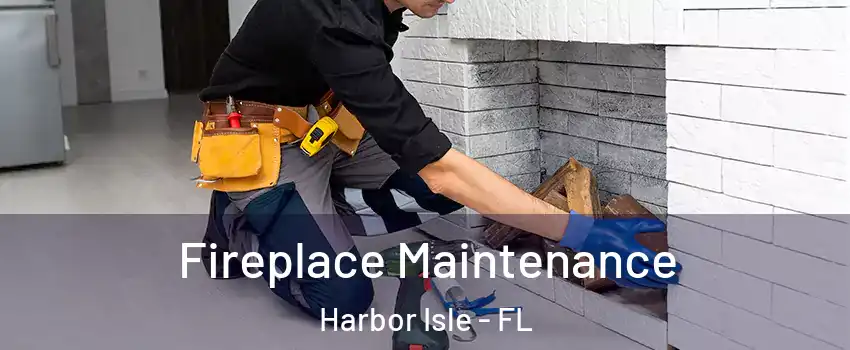 Fireplace Maintenance Harbor Isle - FL