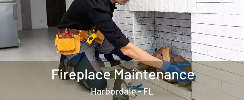 Fireplace Maintenance Harbordale - FL