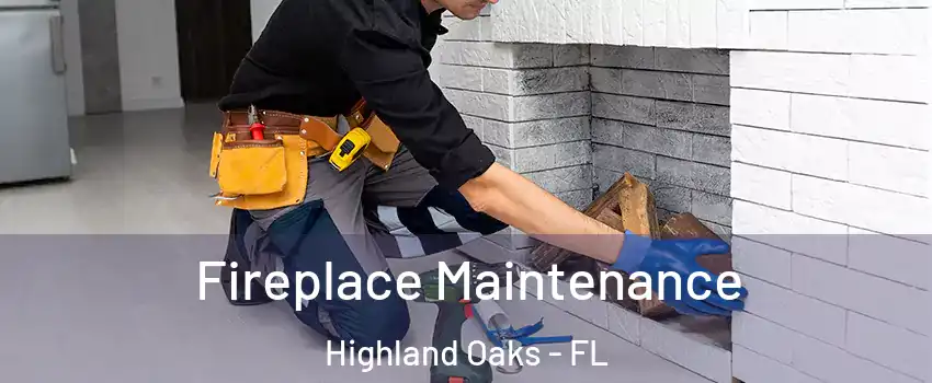 Fireplace Maintenance Highland Oaks - FL
