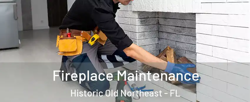 Fireplace Maintenance Historic Old Northeast - FL