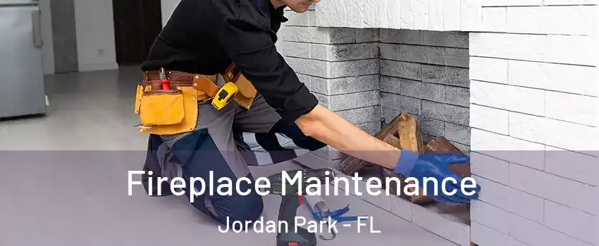 Fireplace Maintenance Jordan Park - FL