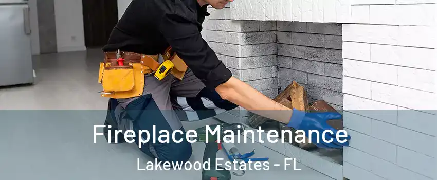 Fireplace Maintenance Lakewood Estates - FL