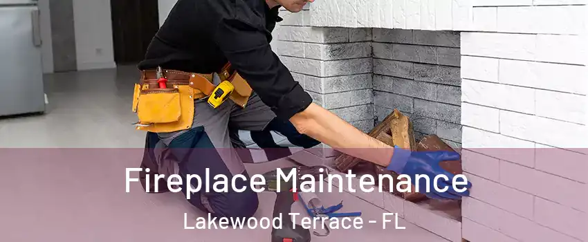 Fireplace Maintenance Lakewood Terrace - FL