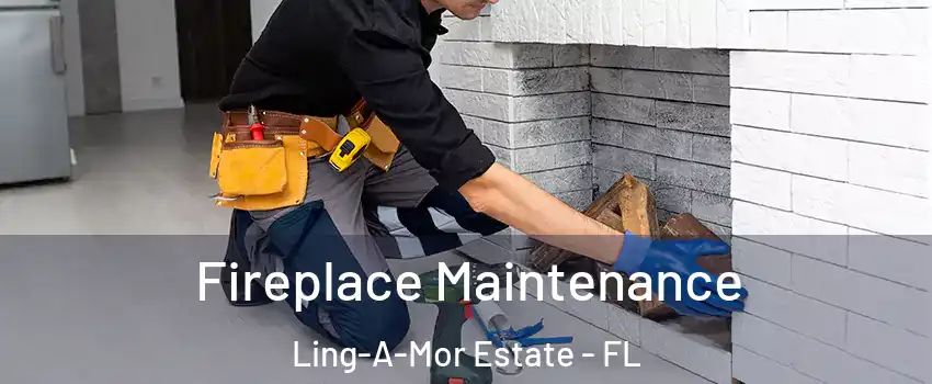 Fireplace Maintenance Ling-A-Mor Estate - FL