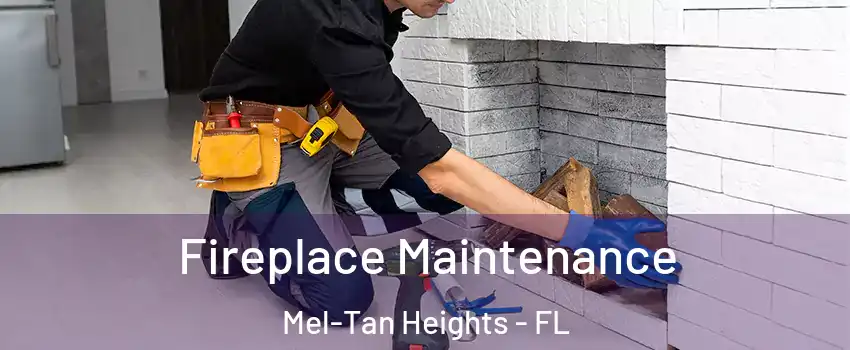 Fireplace Maintenance Mel-Tan Heights - FL