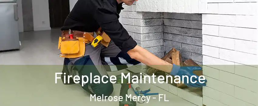 Fireplace Maintenance Melrose Mercy - FL