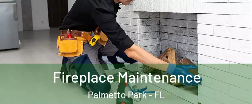Fireplace Maintenance Palmetto Park - FL