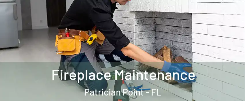 Fireplace Maintenance Patrician Point - FL