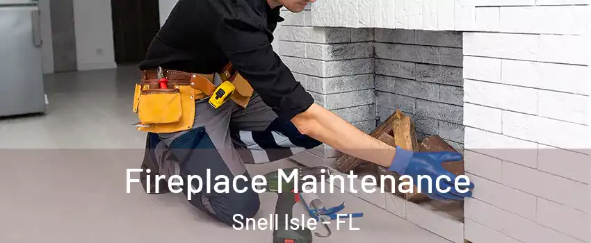 Fireplace Maintenance Snell Isle - FL