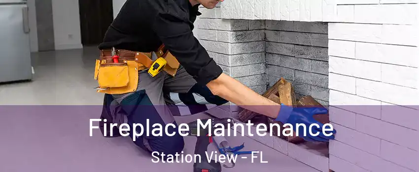 Fireplace Maintenance Station View - FL