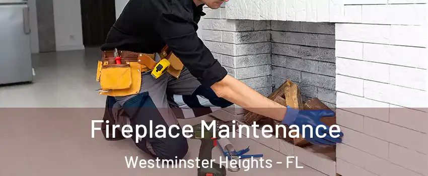 Fireplace Maintenance Westminster Heights - FL
