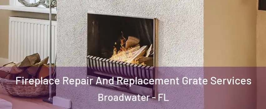 Fireplace Repair And Replacement Grate Services Broadwater - FL
