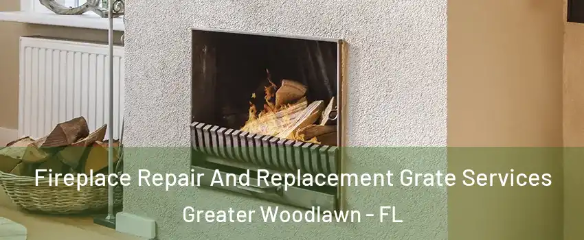 Fireplace Repair And Replacement Grate Services Greater Woodlawn - FL