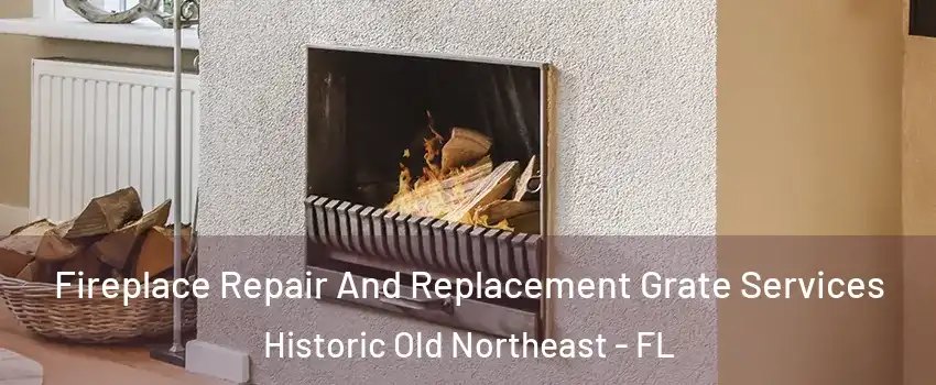 Fireplace Repair And Replacement Grate Services Historic Old Northeast - FL