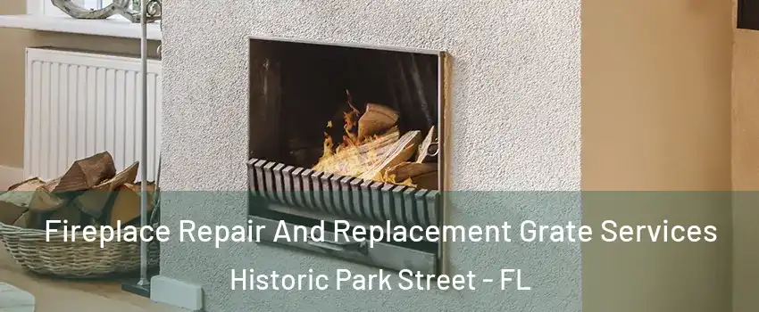 Fireplace Repair And Replacement Grate Services Historic Park Street - FL