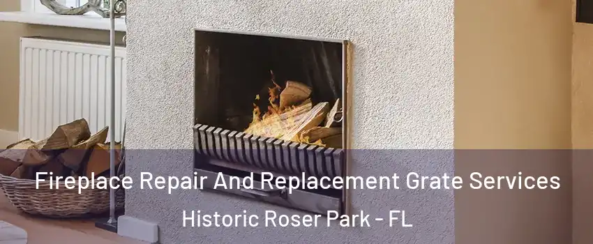 Fireplace Repair And Replacement Grate Services Historic Roser Park - FL