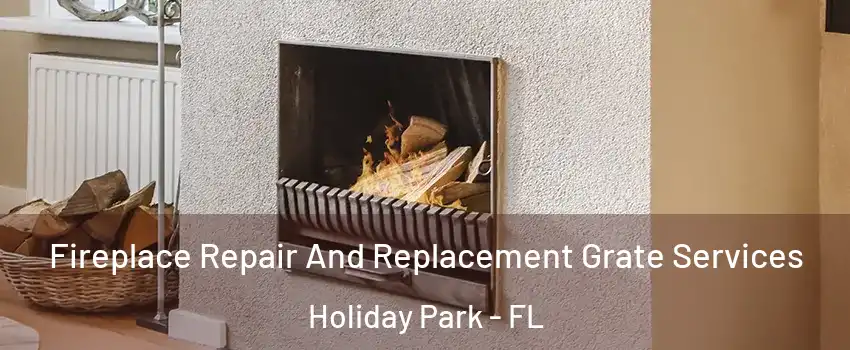 Fireplace Repair And Replacement Grate Services Holiday Park - FL