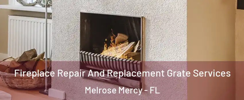 Fireplace Repair And Replacement Grate Services Melrose Mercy - FL