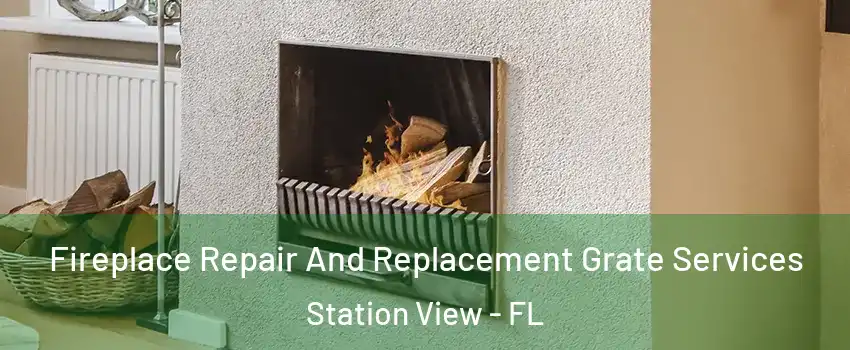 Fireplace Repair And Replacement Grate Services Station View - FL