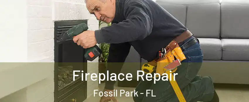Fireplace Repair Fossil Park - FL